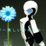 Avatar: GirlyBot's Avatar