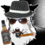 Avatar: 65351 Mon Dec 01 17:36:56 -0500 2008
