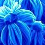 Fb3d1bd668d954a72068a86c07a22d76