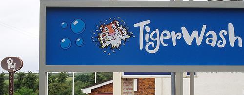 I'll wash your tiger