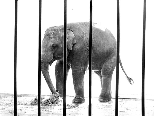 Bring the kids along