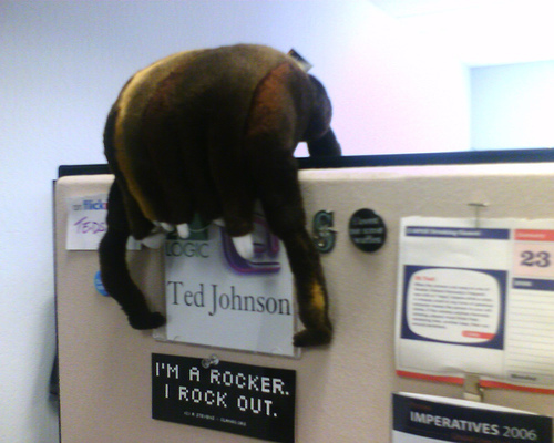 Ted Johnson